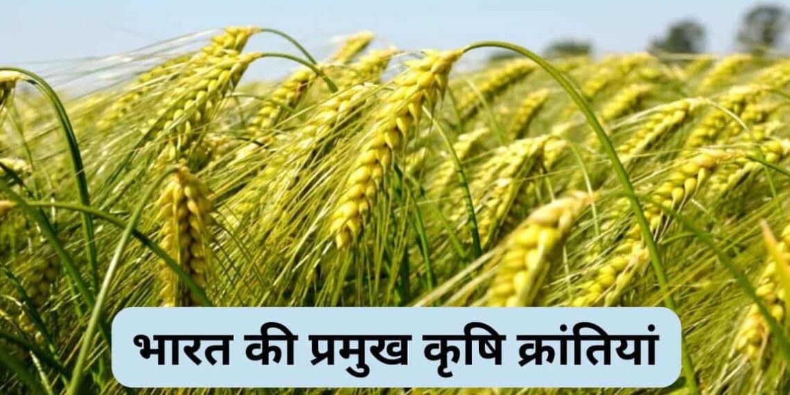 Agricultural Revolutions in India what is Green Revolution, White Revolution, and Blue Revolution?