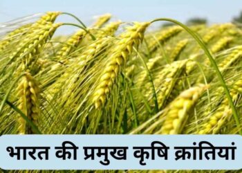 Agricultural Revolutions in India what is Green Revolution, White Revolution, and Blue Revolution?