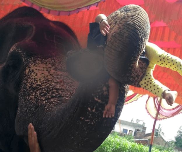 महादेवी हथिनी