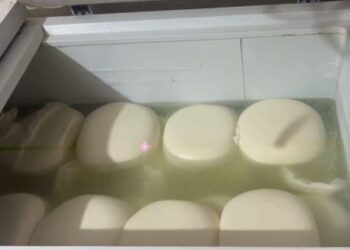 Dirty..smelly tin boxes and crawling insects, fake paneer busted in Raipur before Rakshabandhan