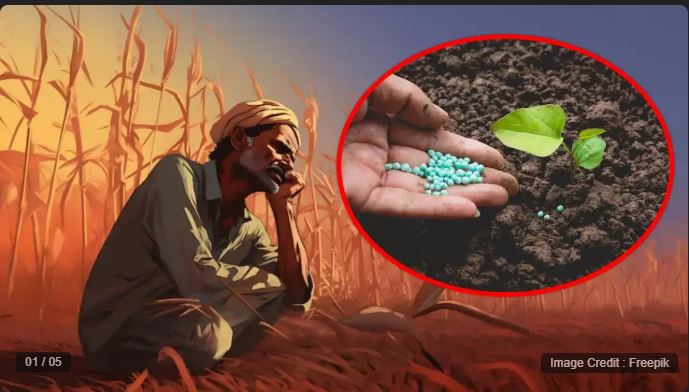 Farmers are in a bad condition due to shortage of fertilizers in Rewa, Madhya Pradesh, women are standing in queue for 24 hours