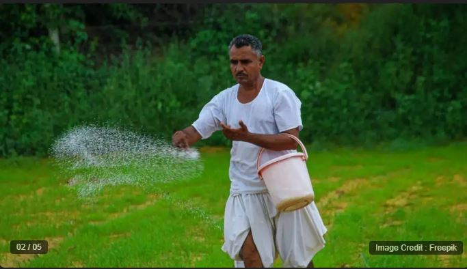 Farmers are in a bad condition due to shortage of fertilizers in Rewa, Madhya Pradesh, 