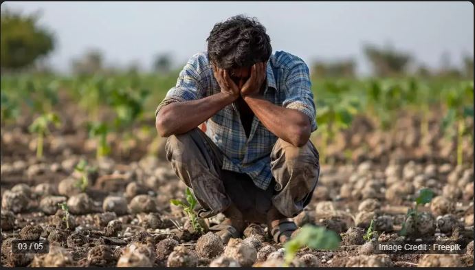 Farmers are in a bad condition due to shortage of fertilizers in Rewa, Madhya Pradesh, 