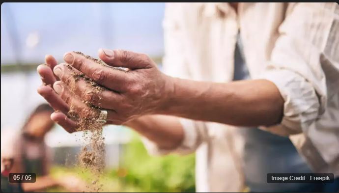 Farmers are in a bad condition due to shortage of fertilizers in Rewa, Madhya Pradesh, 