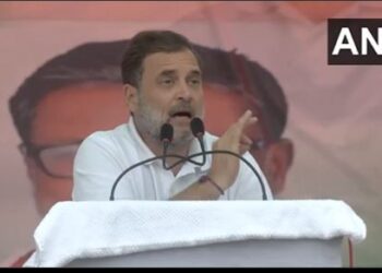 Bihar Election 2025: 'If you tell Narendra Modi to dance, he will...' Rahul levelled several allegations against the PM in Bihar.