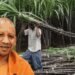 Good news for farmers in Uttar Pradesh! Sugarcane prices have risen by Rs 30 per quintal. (image credit: SM)