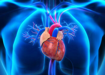 दिल की नसों को रखें स्वस्थ: प्लाक रोकने के आसान और वैज्ञानिक उपाय