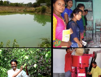 भारतीय कृषि की बदलती तस्वीर, महिलाएं बन रहीं आत्मनिर्भरता की मिसाल - Panchayati Times