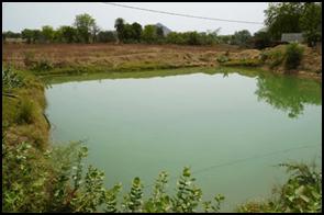  भारतीय कृषि की बदलती तस्वीर, महिलाएं बन रहीं आत्मनिर्भरता की मिसाल