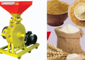 गांव में आटा चक्की खोलने के में सरकार करेगी मदद - Panchayati Times