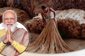 केंद्रीय कैबिनेट ने 2026-27 सीजन के लिए कच्चे जूट का MSP किया तय, किसानों को 61.8% लाभ - Panchayati Times