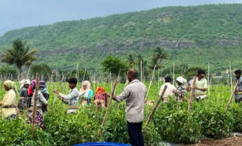 महाराष्ट्र में 17 से 20 मार्च के बीच बारिश और तेज हवाओं की संभावना - Panchayati Times