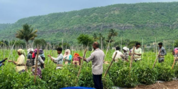 महाराष्ट्र में 17 से 20 मार्च के बीच बारिश और तेज हवाओं की संभावना - Panchayati Times