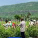 आंधी-तूफान और ओलावृष्टि का अलर्ट: कई राज्यों में बिगड़ सकता है मौसम, किसानों को चेतावनी - Panchayati Times