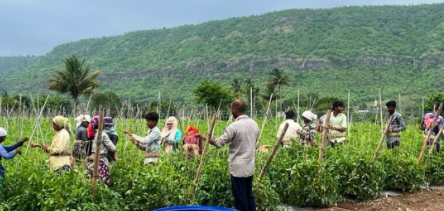 महाराष्ट्र में 17 से 20 मार्च के बीच बारिश और तेज हवाओं की संभावना - Panchayati Times