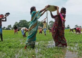 VB-G RAM G पर कांग्रेस का हमला: जयराम रमेश बोले- MGNREGA खत्म करने की कीमत चुका रहे ग्रामीण श्रमिक, जुलाई में रोजगार में बड़ी गिरावट - Panchayati Times