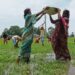 VB-G RAM G पर कांग्रेस का हमला: जयराम रमेश बोले- MGNREGA खत्म करने की कीमत चुका रहे ग्रामीण श्रमिक, जुलाई में रोजगार में बड़ी गिरावट - Panchayati Times