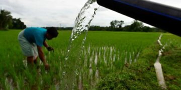 Bihar Flood Relief: बिहार में बाढ़ से फसल बर्बाद होने पर किसानों को मिलेगा कृषि इनपुट अनुदान, 25 अक्टूबर तक करें आवेदन - Panchayati Times
